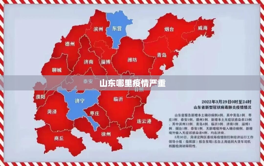 排名前十的手动挡车？_1