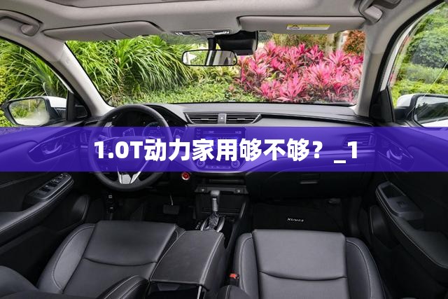 1.0T动力家用够不够？_1