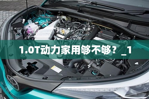 1.0T动力家用够不够？_1