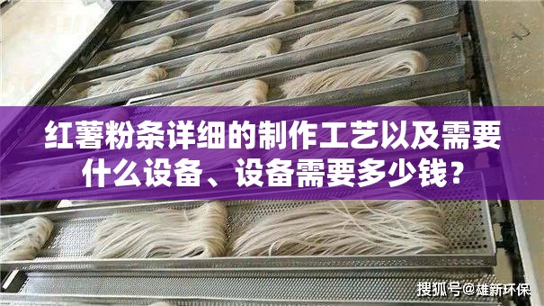 红薯粉条详细的制作工艺以及需要什么设备、设备需要多少钱？