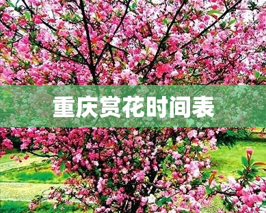 中国排名前十的网贷公司