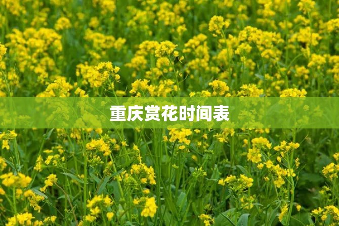 重庆赏花时间表