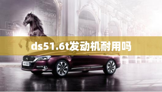 ds51.6t发动机耐用吗