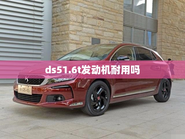 ds51.6t发动机耐用吗