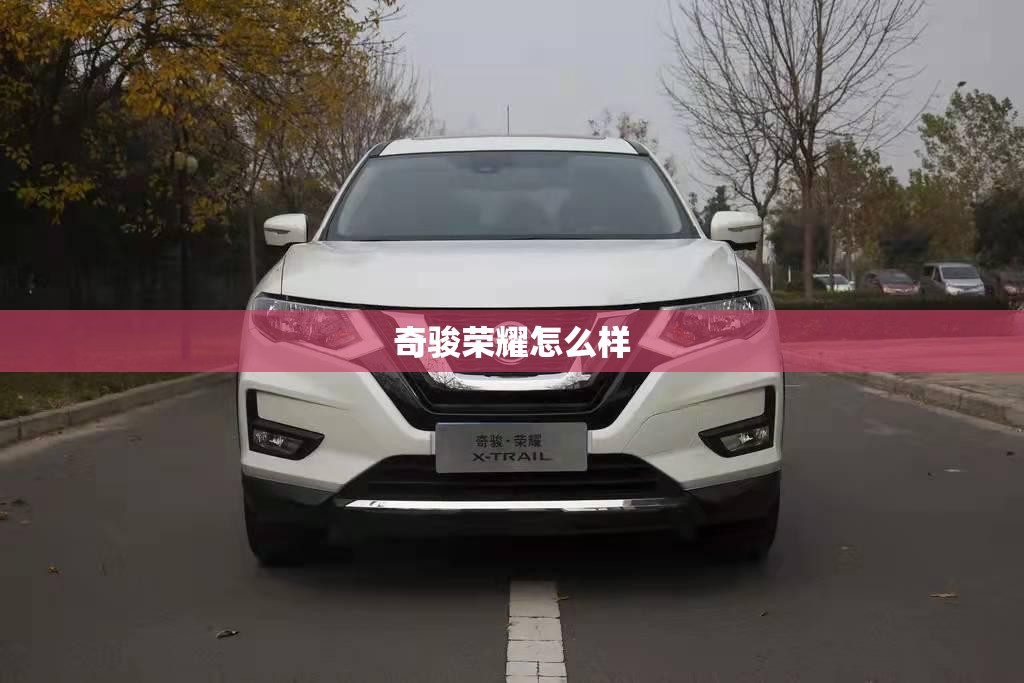 ds51.6t发动机耐用吗