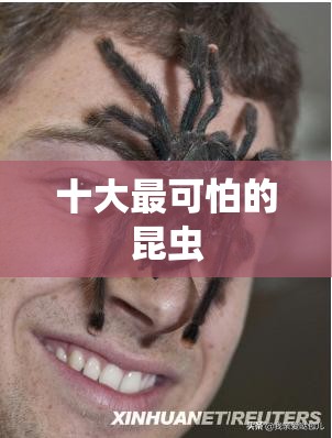 长安欧尚汽车包括哪些