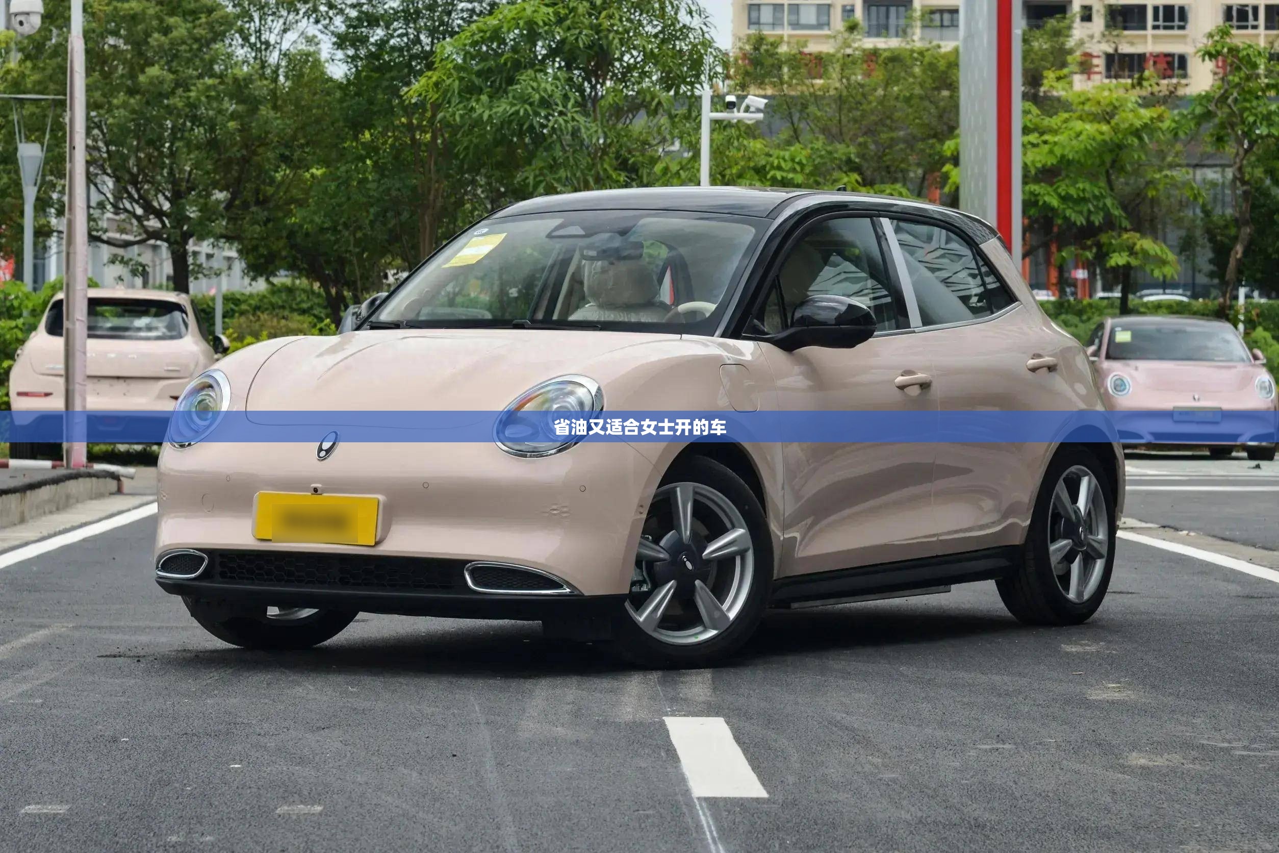 省油又适合女士开的车