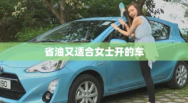 省油又适合女士开的车