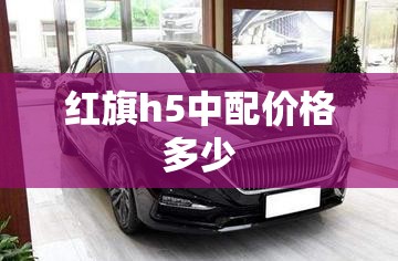 现在的传奇私服1.76版怎么升级怎么打装备