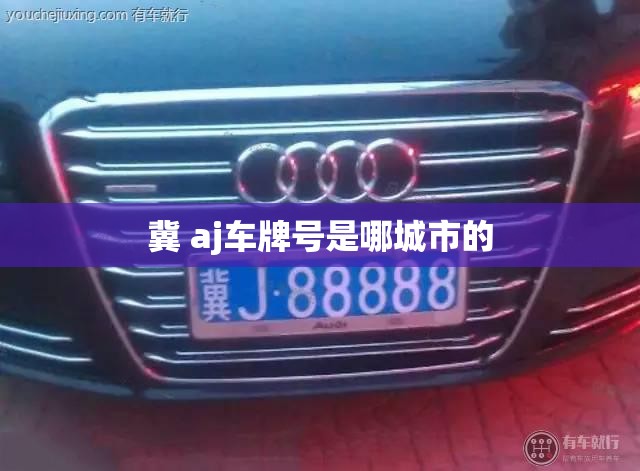 冀 aj车牌号是哪城市的