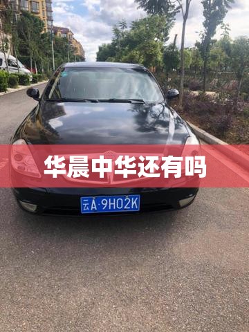 华晨中华还有吗