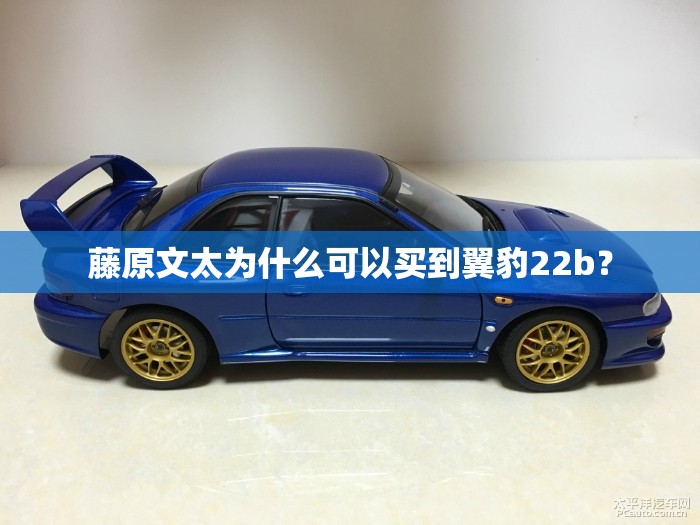 藤原文太为什么可以买到翼豹22b？