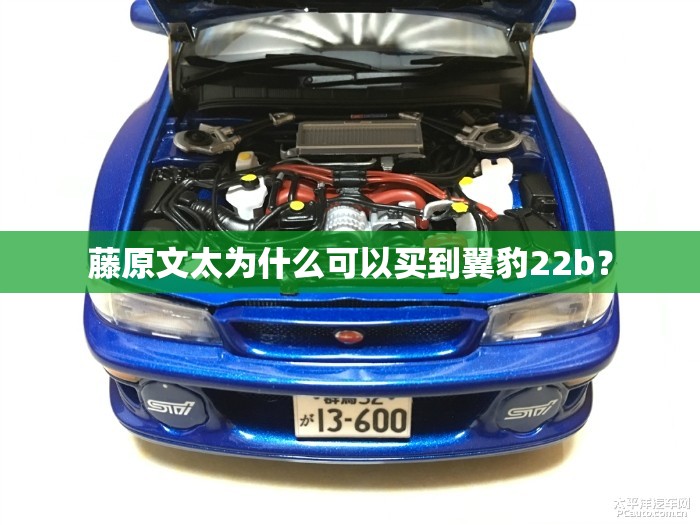 藤原文太为什么可以买到翼豹22b？