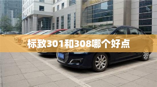 标致301和308哪个好点