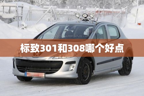 标致301和308哪个好点