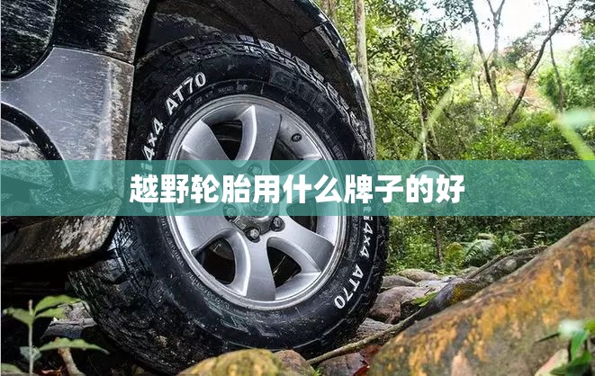 越野轮胎用什么牌子的好