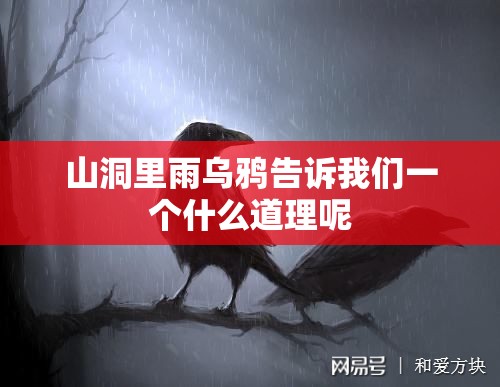 山洞里雨乌鸦告诉我们一个什么道理呢