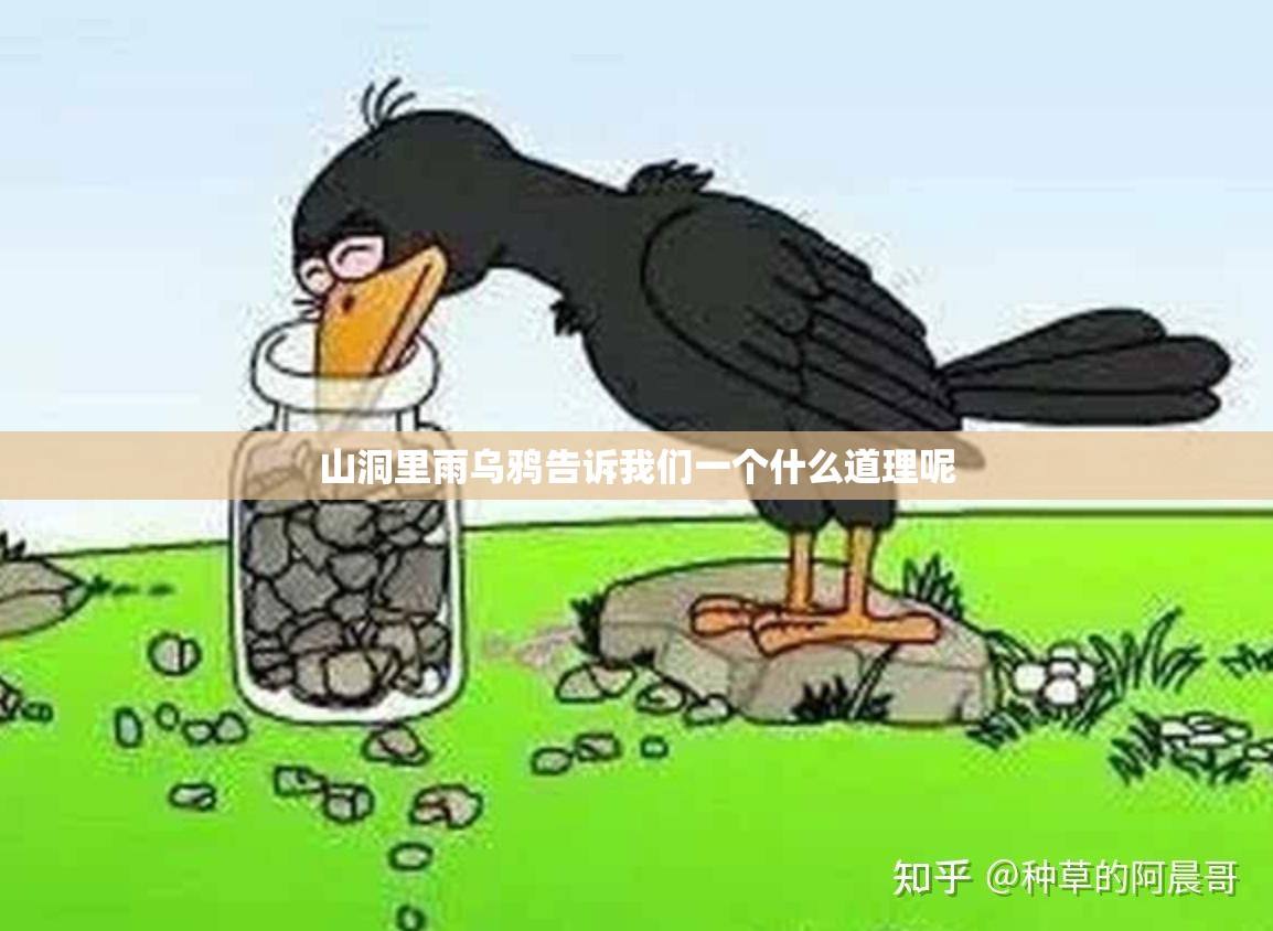 山洞里雨乌鸦告诉我们一个什么道理呢