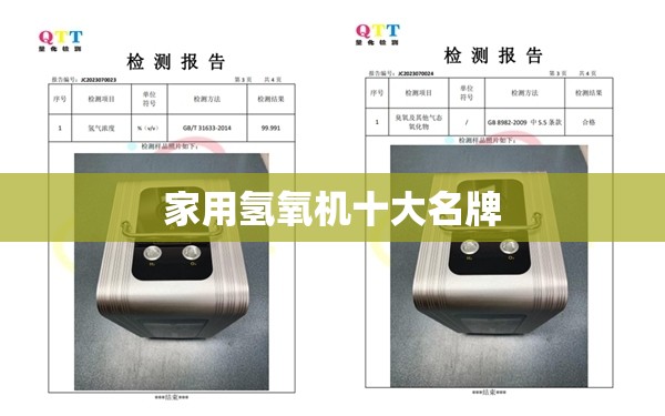 家用氢氧机十大名牌
