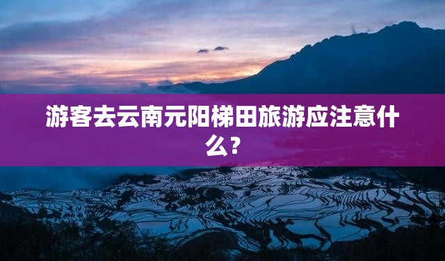 福特新嘉年华的基本介绍