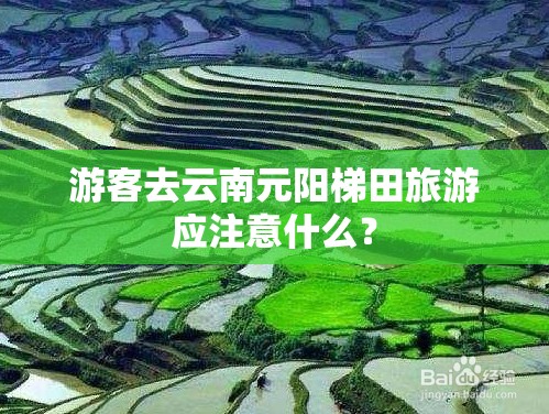 游客去云南元阳梯田旅游应注意什么? 游客去云南元阳梯田旅游应注意什么?