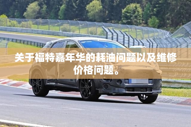 关于福特嘉年华的耗油问题以及维修价格问题。