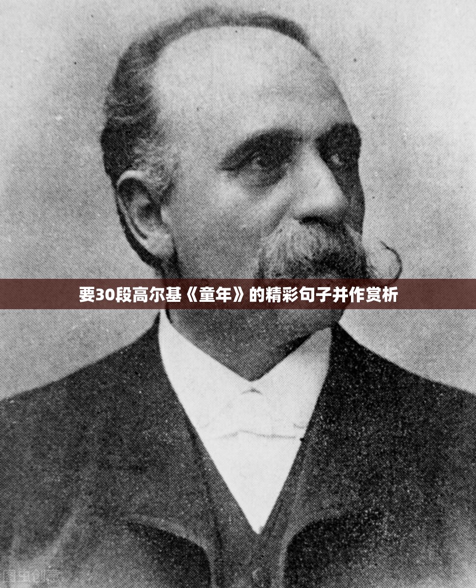 要30段高尔基《童年》的精彩句子并作赏析 要30段高尔基《童年》的精彩句子并作赏析
