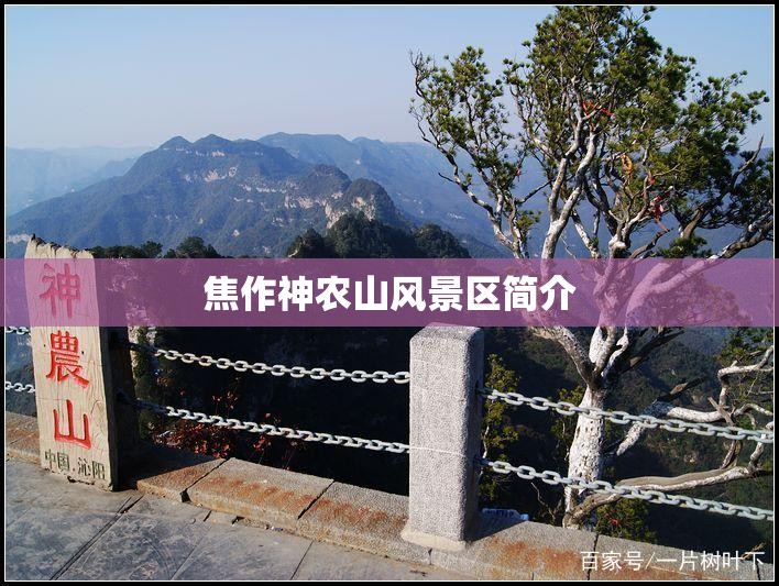 焦作神农山风景区简介
