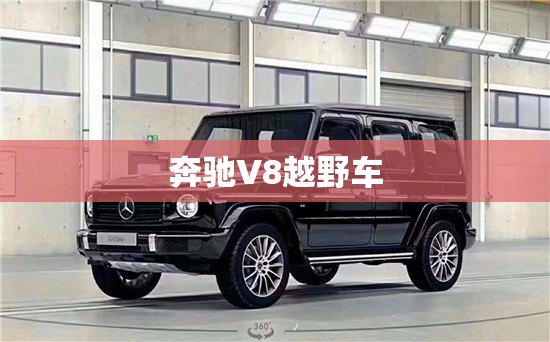 奔驰V8越野车