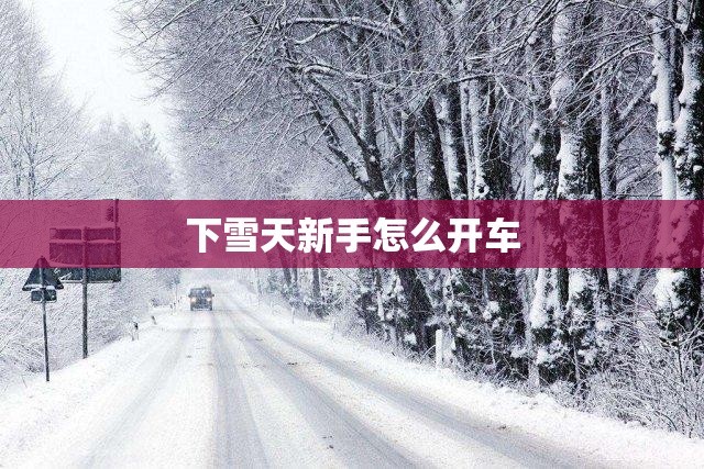 下雪天新手怎么开车