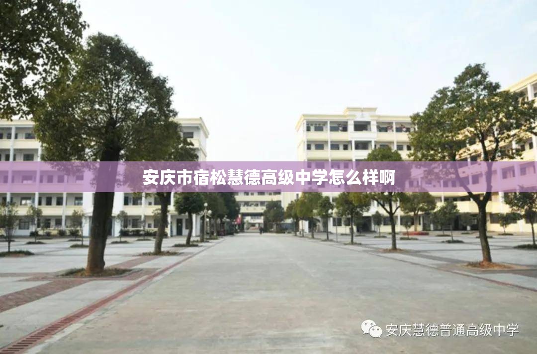 安庆市宿松慧德高级中学怎么样啊