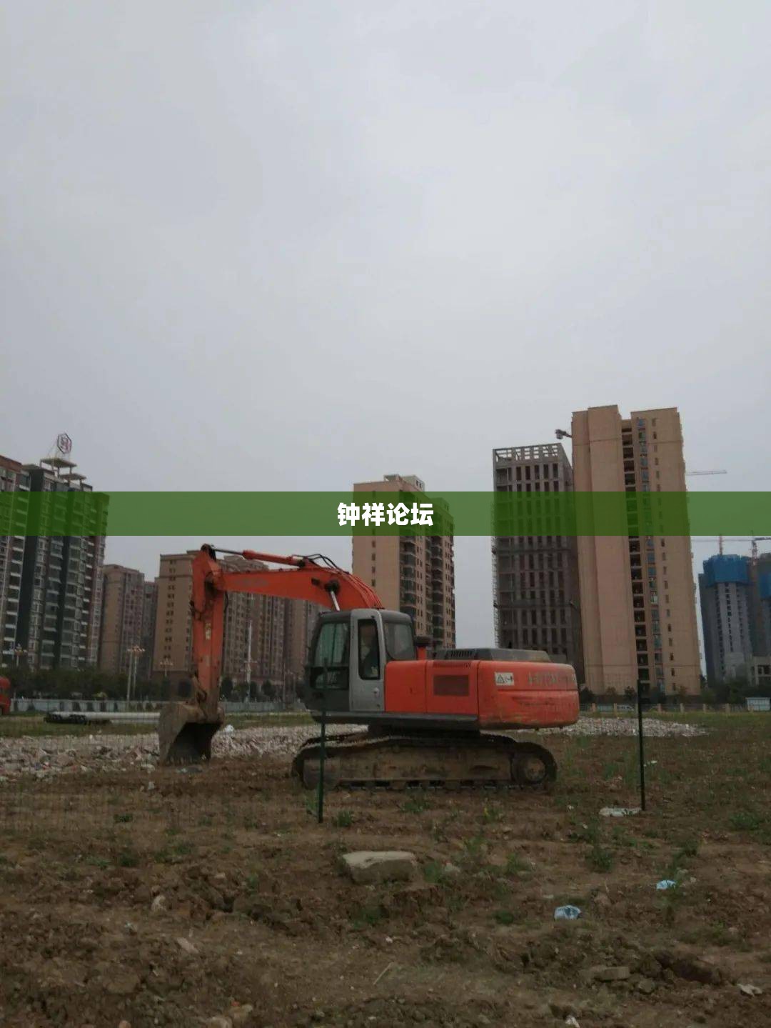 钟祥论坛 钟祥论坛