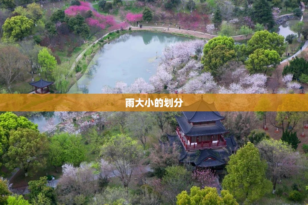 变形金刚6有几个彩蛋