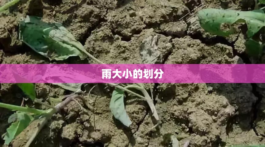 雨大小的划分