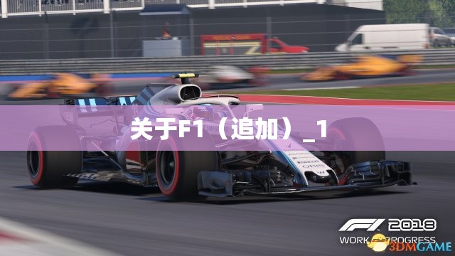 关于F1（追加）_1