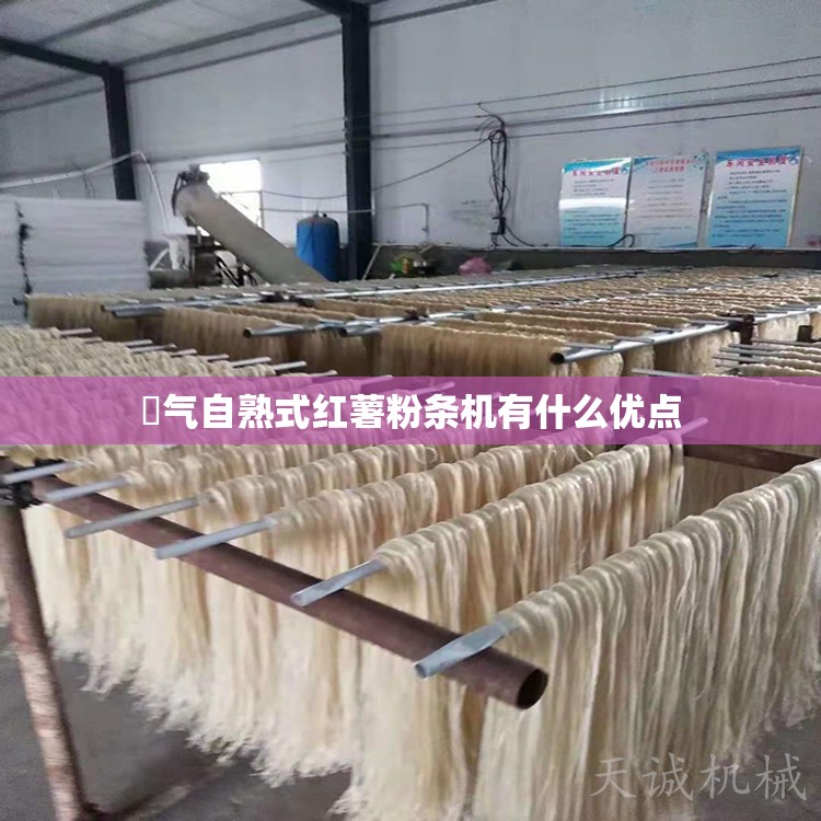 篜气自熟式红薯粉条机有什么优点