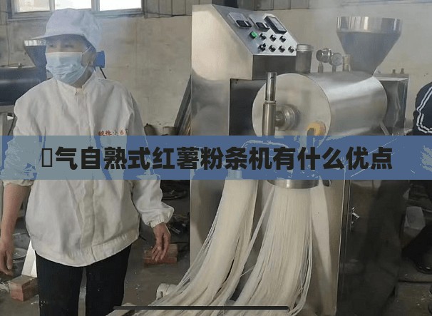 篜气自熟式红薯粉条机有什么优点