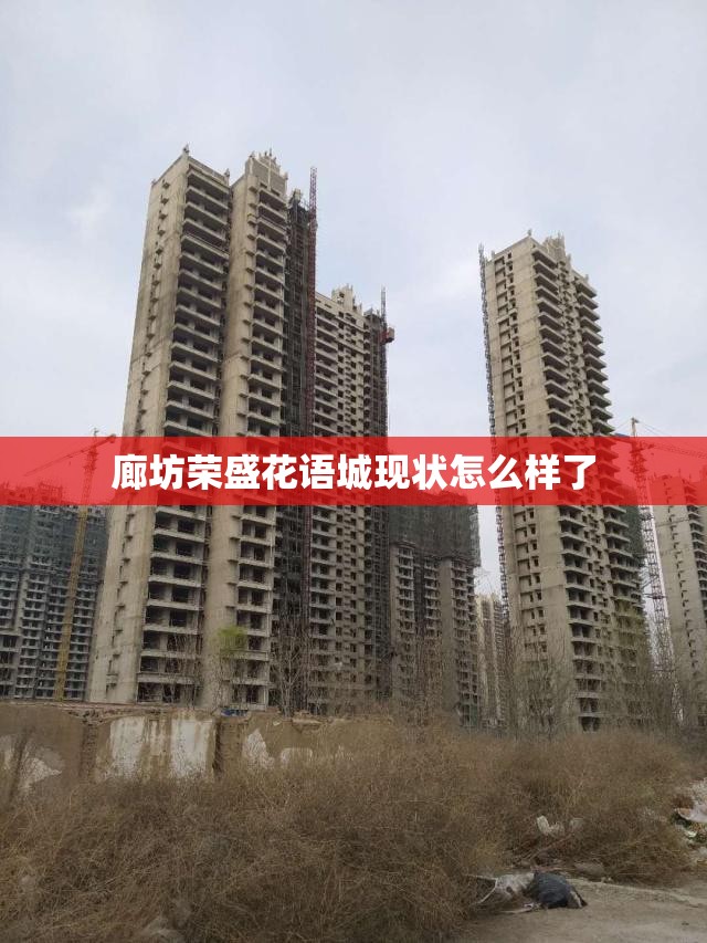 廊坊荣盛花语城现状怎么样了