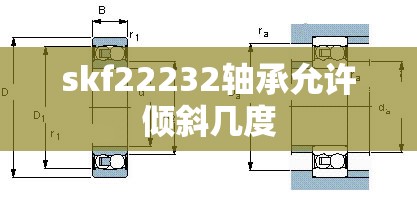 地平线5淘汰之王哪里有好车