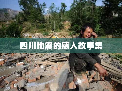 四川地震的感人故事集 四川地震的感人故事集