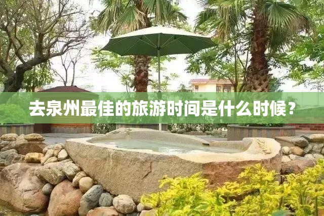 高档煮茶器十大名牌