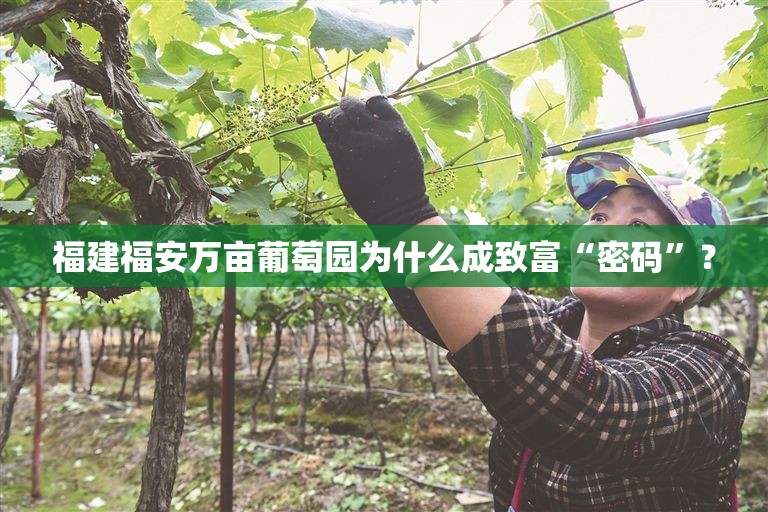 四川地震的感人故事集