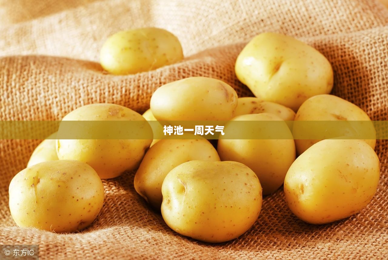 四川地震的感人故事集