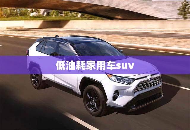 低油耗家用车suv 低油耗家用车suv
