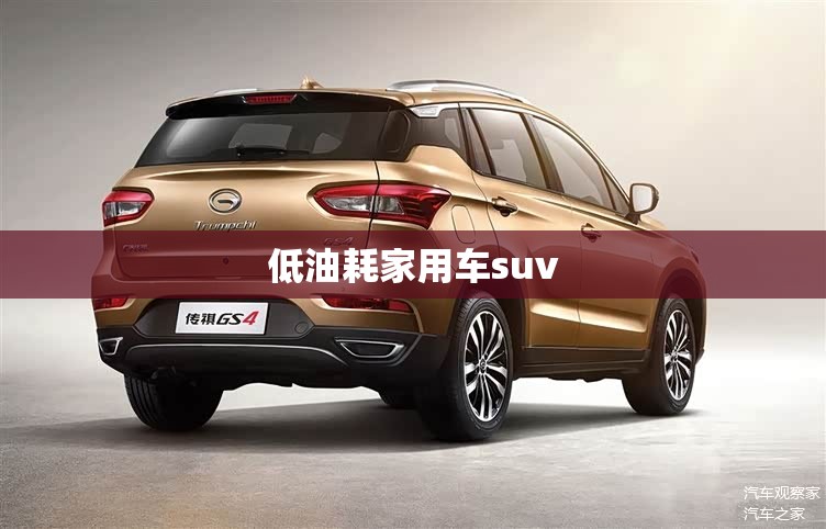 低油耗家用车suv 低油耗家用车suv