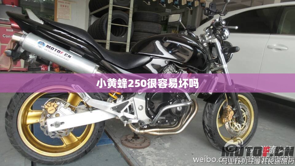 小黄蜂250很容易坏吗 小黄蜂250很容易坏吗