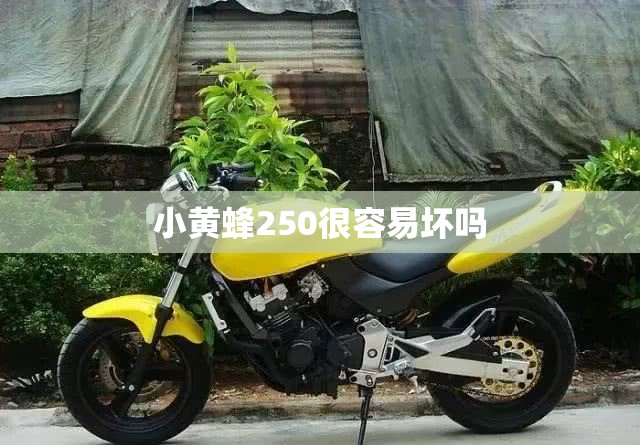 小黄蜂250很容易坏吗 小黄蜂250很容易坏吗