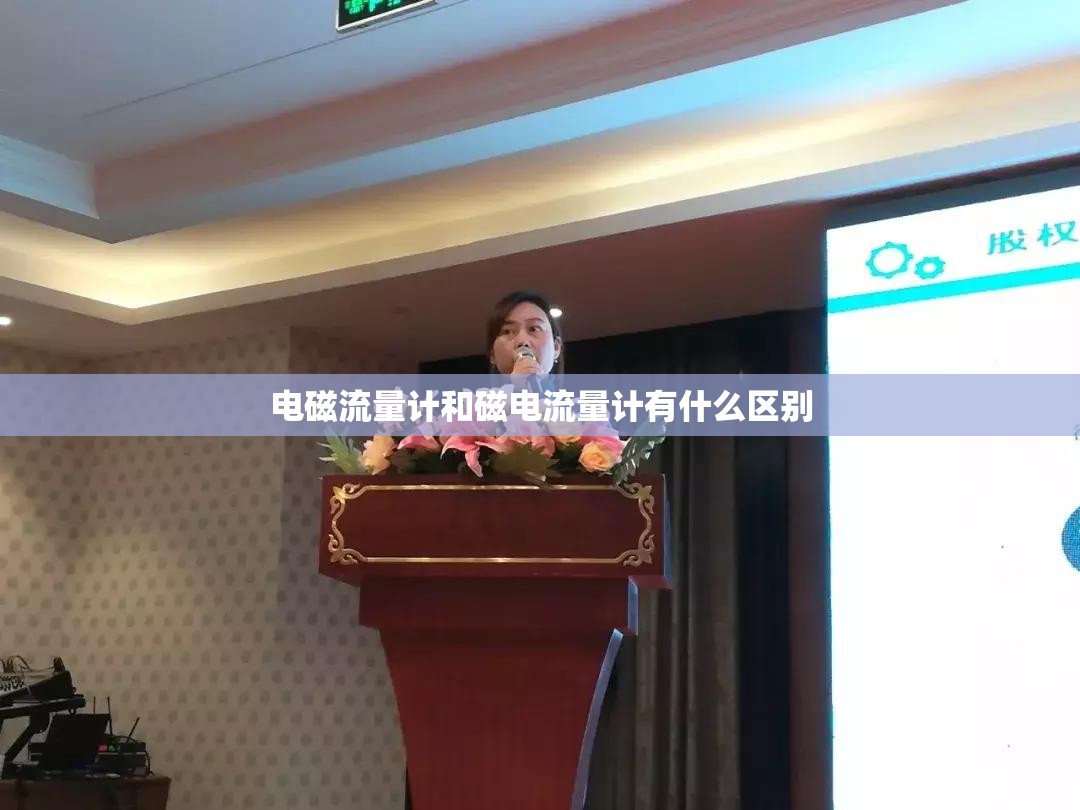 电磁流量计和磁电流量计有什么区别