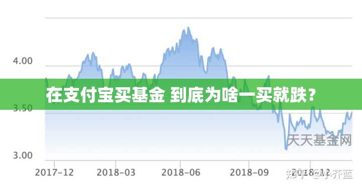 在支付宝买基金 到底为啥一买就跌？