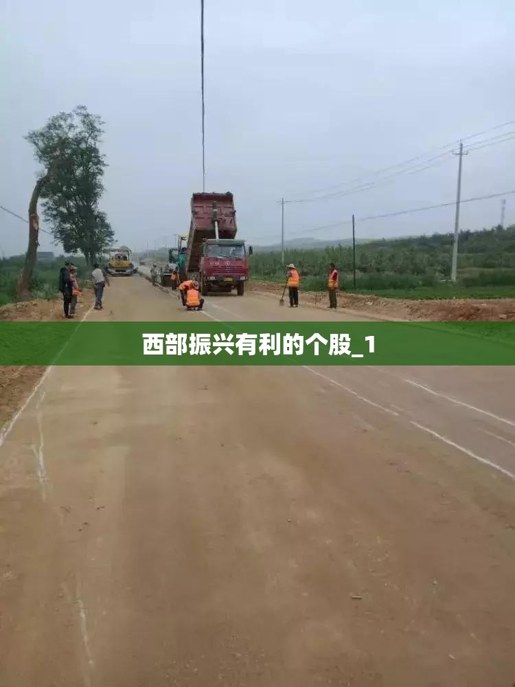 西部振兴有利的个股_1 西部振兴有利的个股_1